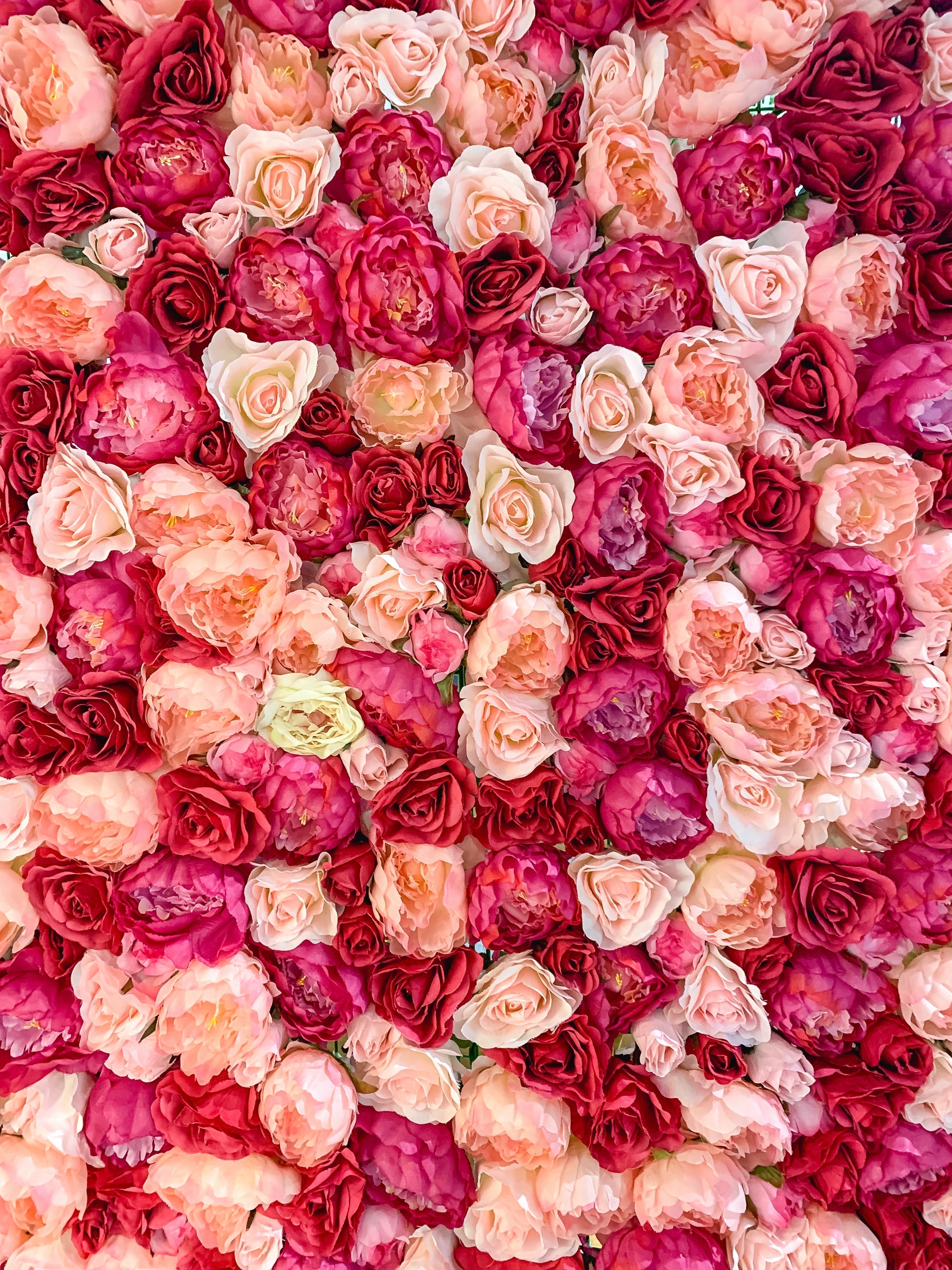 The Elusive Art of Gifting Scent: Cupid's Guide to Valentine's Day
