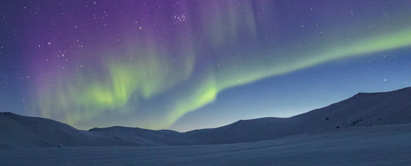 Dasein: Q & A with Owner Jenna Lyles