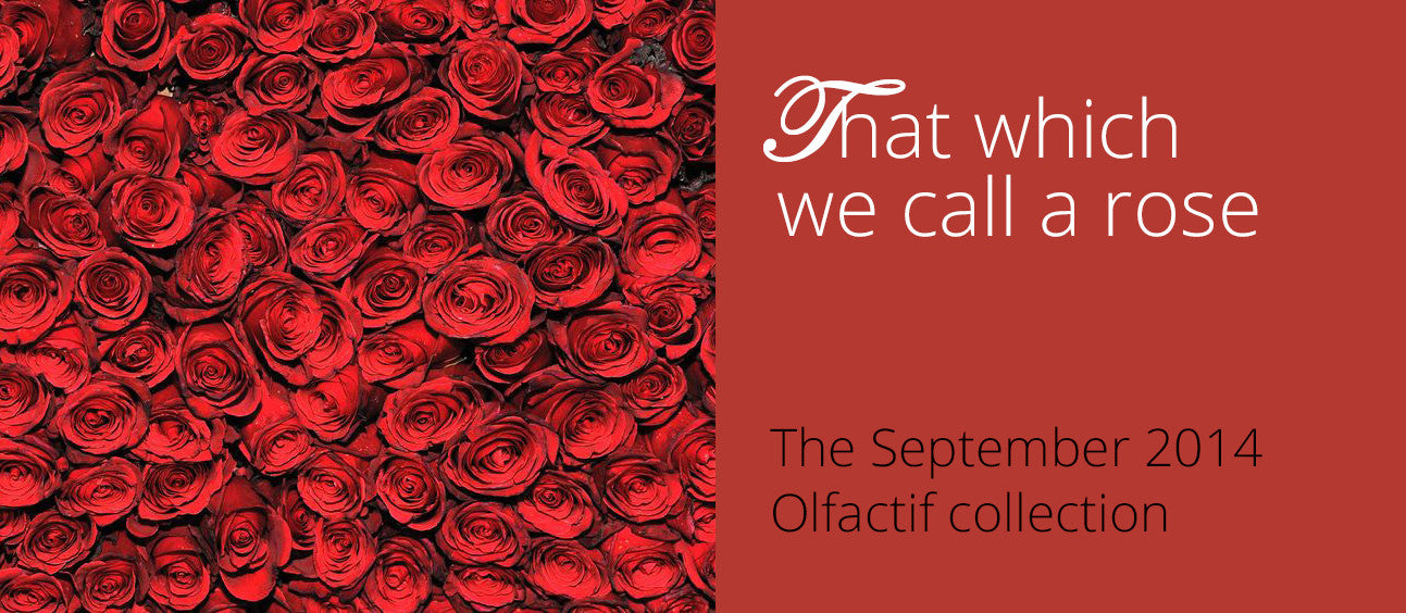 That Which We Call A Rose