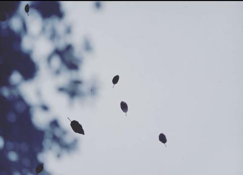 Christèle Jacquemin: A Q&A with Perfumer Christèle Jacquemin