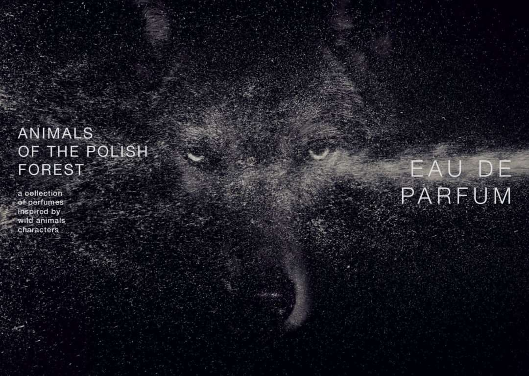Wolf Brothers: Q & A with Co-Founder Wiktor
