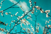 Materials of Perfumery: A Bouquet, All Bottled Up