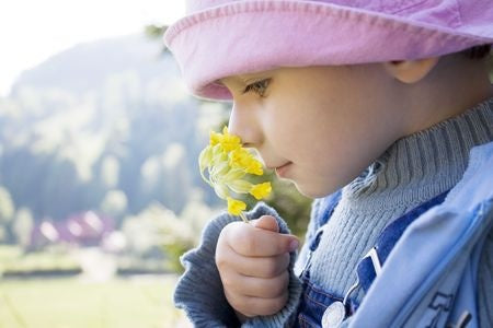 Smelling Through The Ages