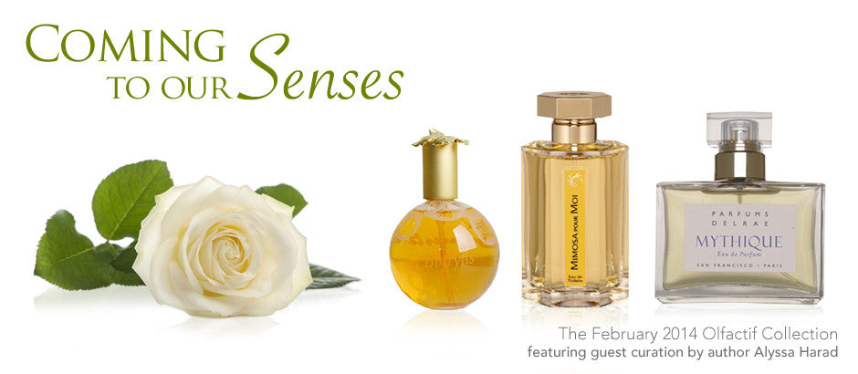 February 2014: Coming to Our Senses