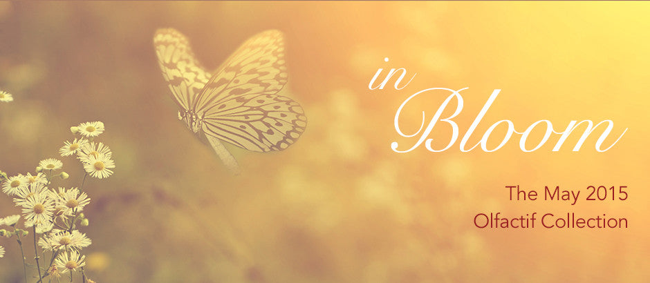 May 2015: In Bloom