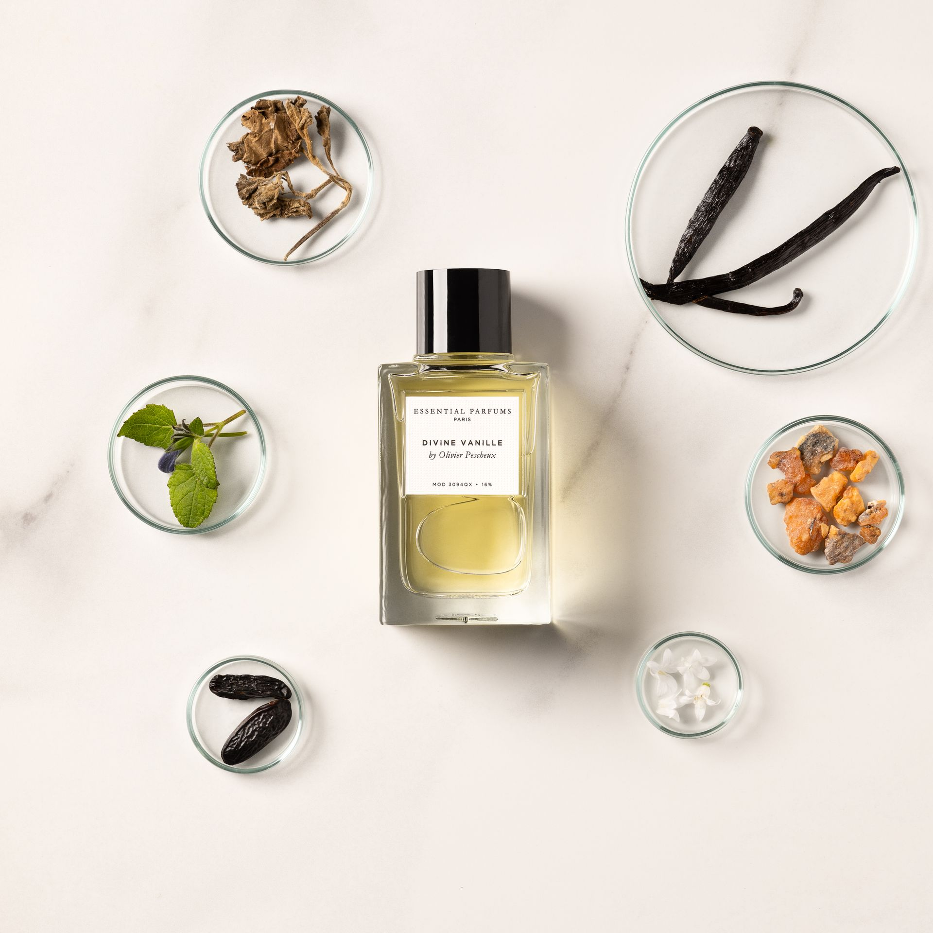 Divine Vanille | Essential Parfums | Olfactif - Perfume