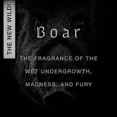Boar | Wolf Brothers | Olfactif