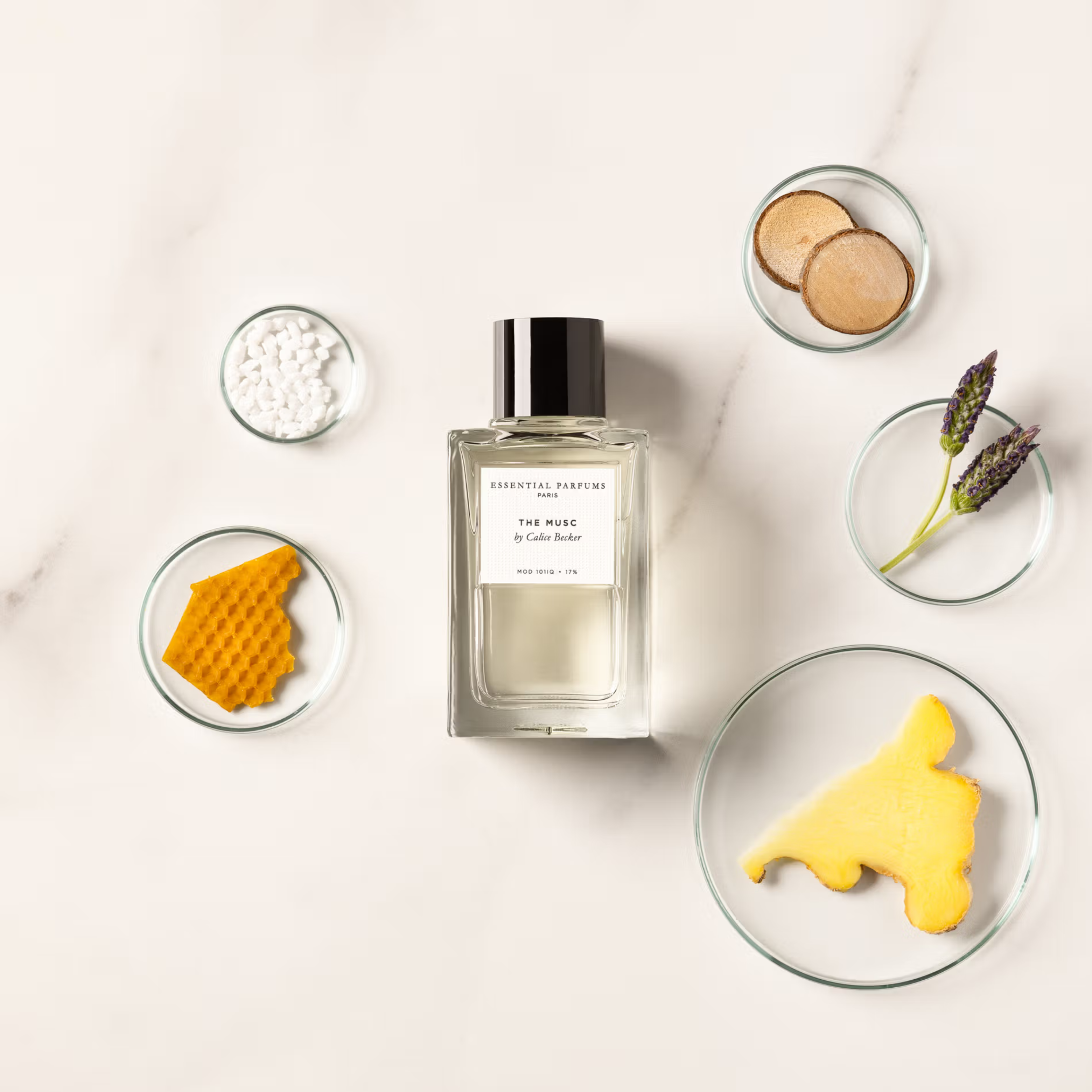 The Musc | Essential Parfums | Olfactif - Perfume