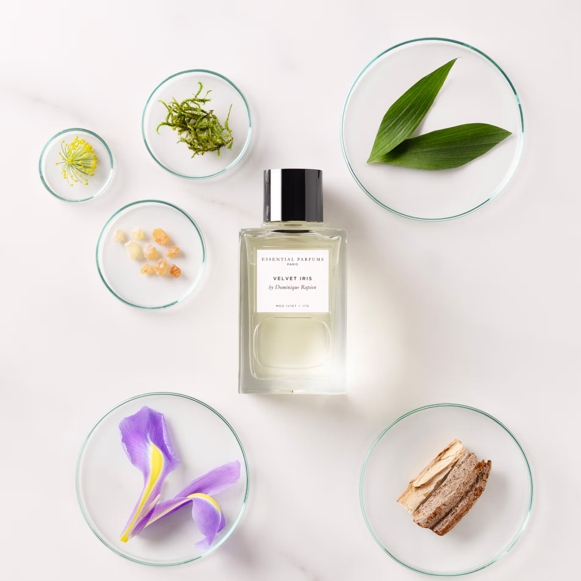 Velvet Iris | Essential Parfums | Olfactif