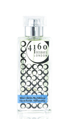 What I Did On My Holidays Sample