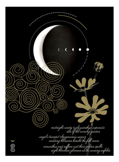 Evening Edged in Gold | Ineke | Olfactif