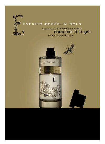 Evening Edged in Gold | Ineke | Olfactif